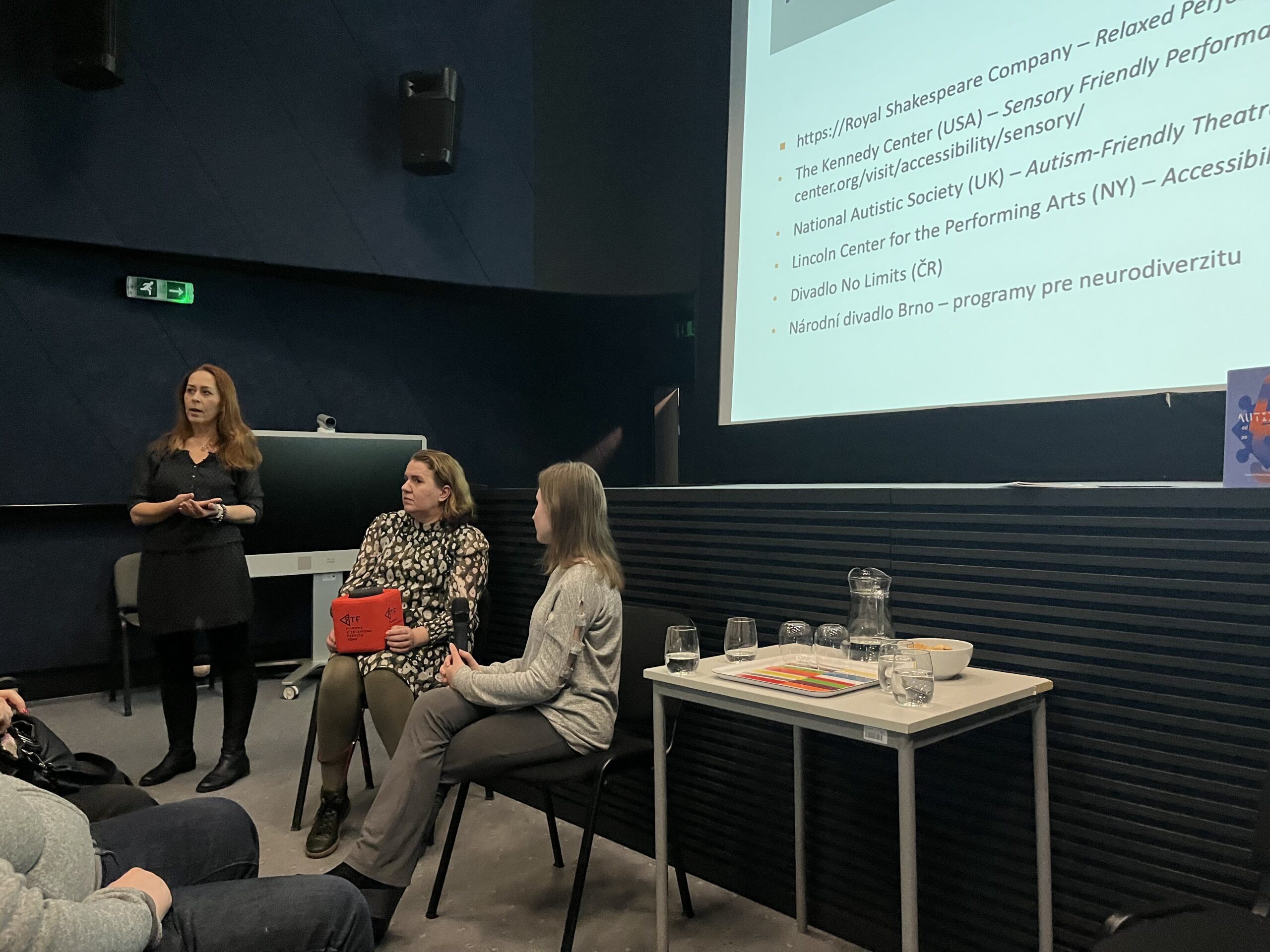 Niko Mlynarčík: Idem si odžiť realitu, aby som mal znova nové námety